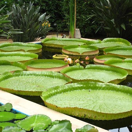 Casa Vacanze La Formica فيربانيا المظهر الخارجي الصورة
